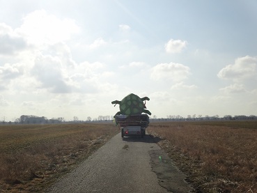 2012-02_Fasching_Alt_2