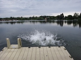 2012-07-13_JupfiSee2