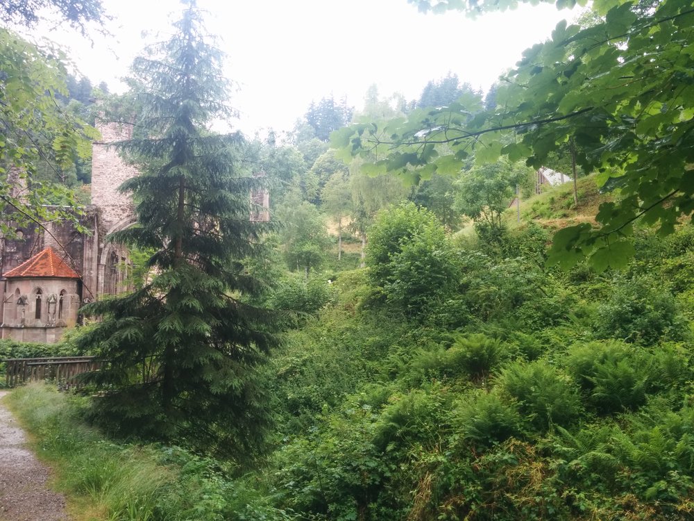 re-IMG 20140628 111717