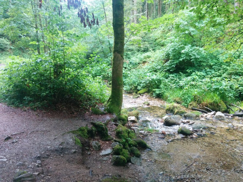 re-IMG 20140628 113901