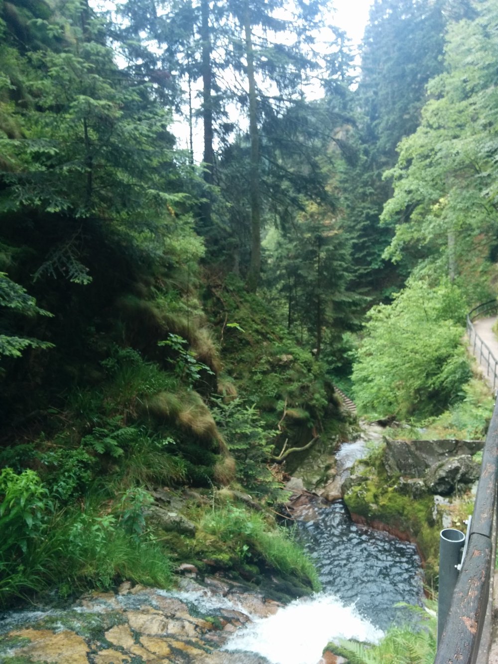 re-IMG 20140628 114311