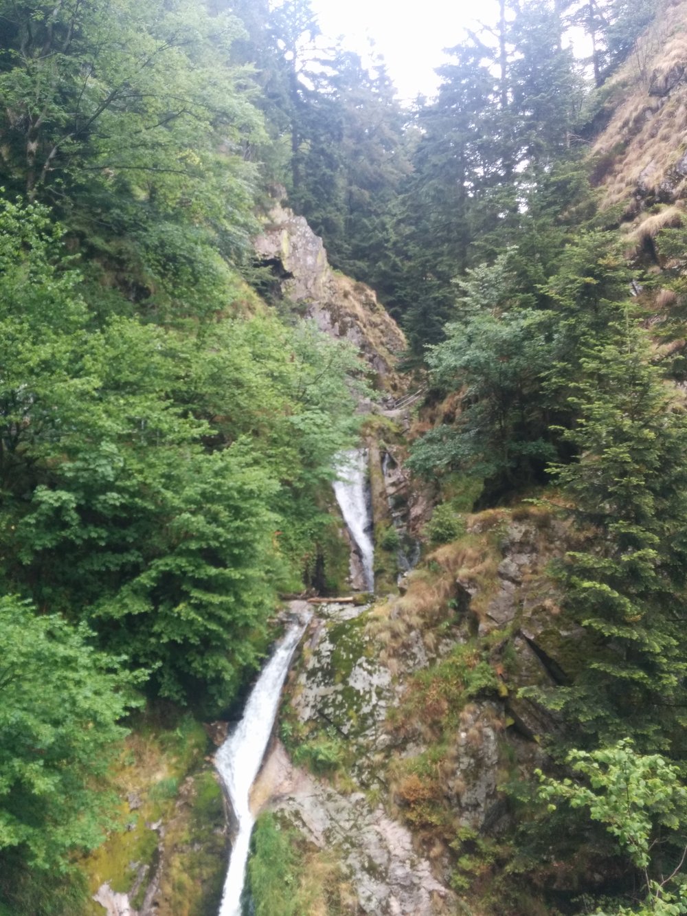 re-IMG 20140628 114525