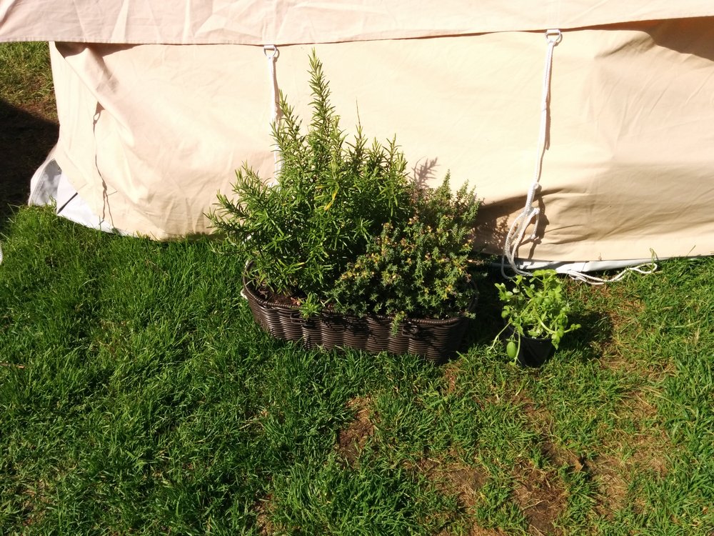 re-IMG 20140805 112113