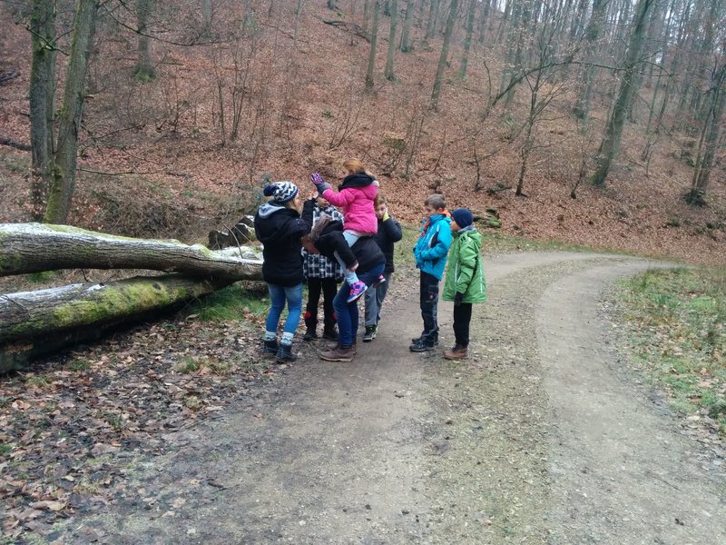 fi-IMG 20150124 112632