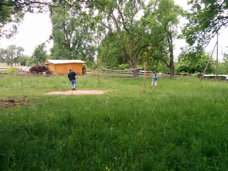 fi-IMG 20150524 192747