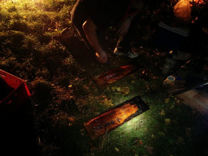 fi-IMG 20151009 215229