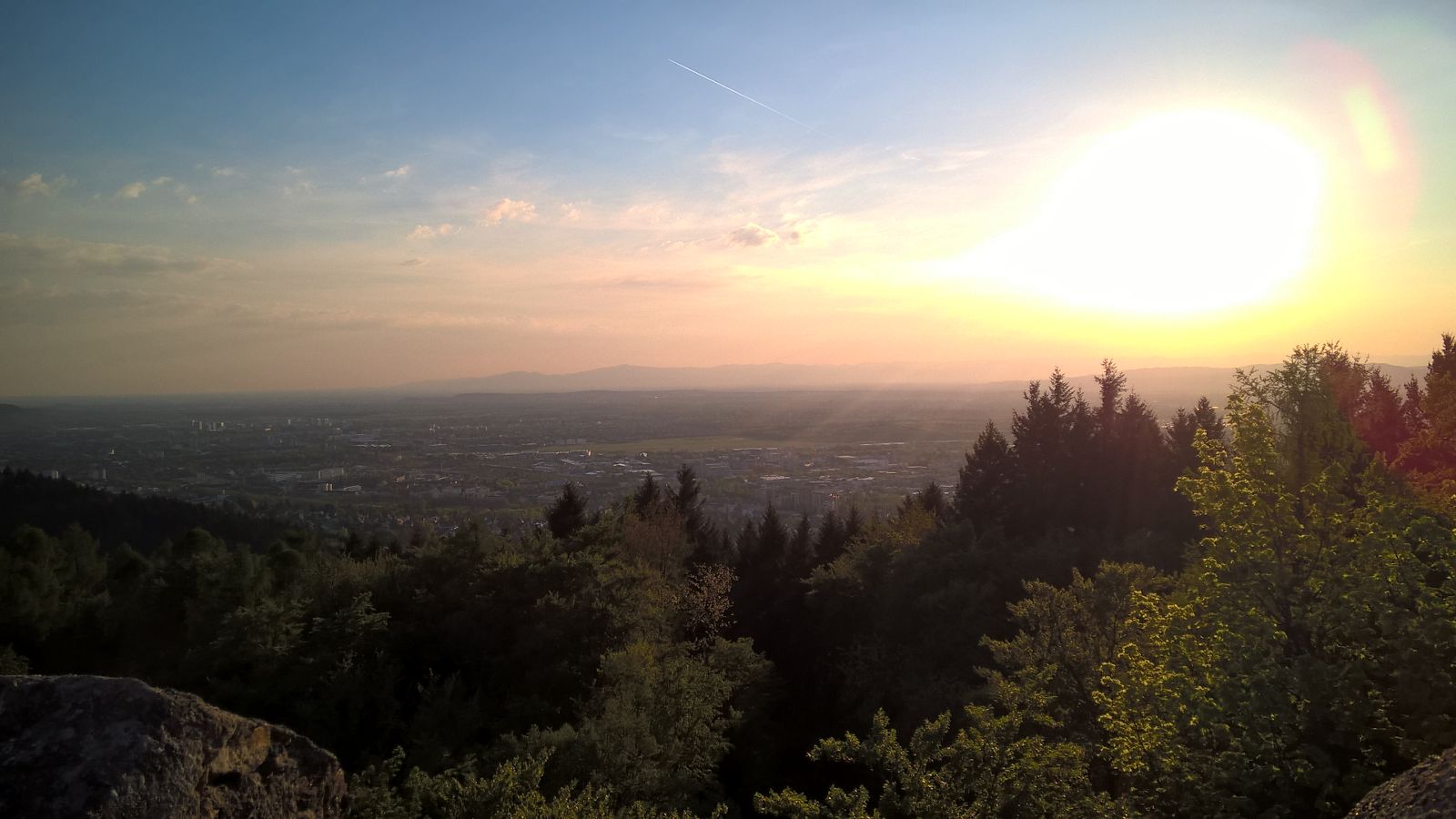 6e6ecc32-23bf-46ff-ba0e-f015241348ad