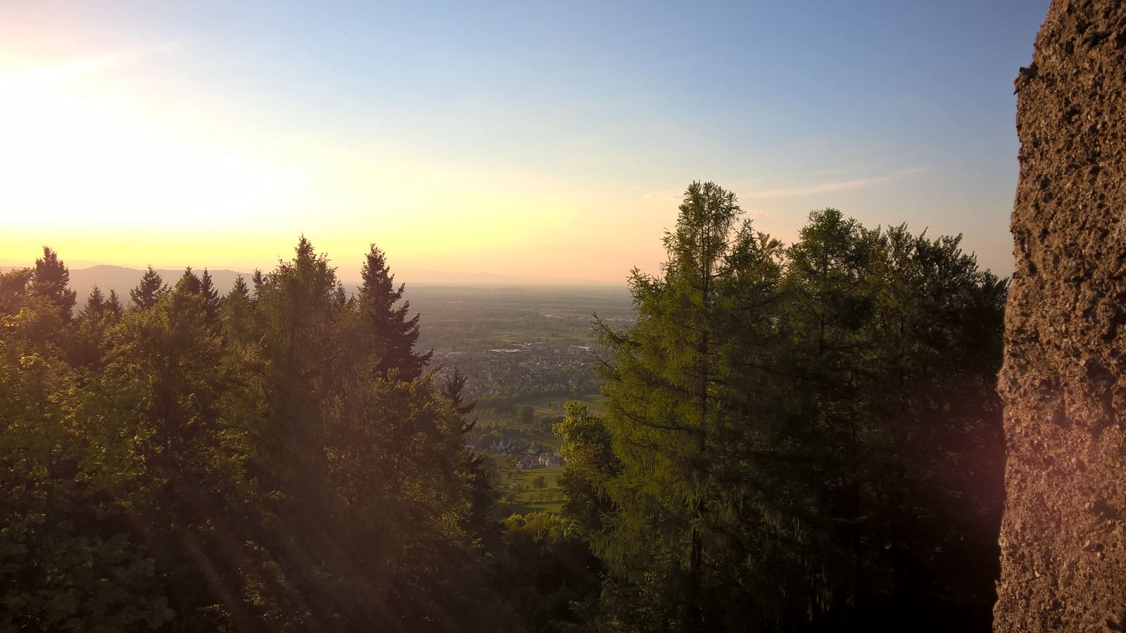 99ab20d2-5b57-4312-9ac6-c2a2394d69e0