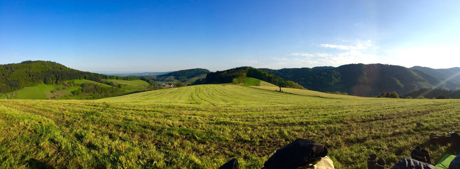 9f855678-8080-4006-9b0f-e2d725fd2110