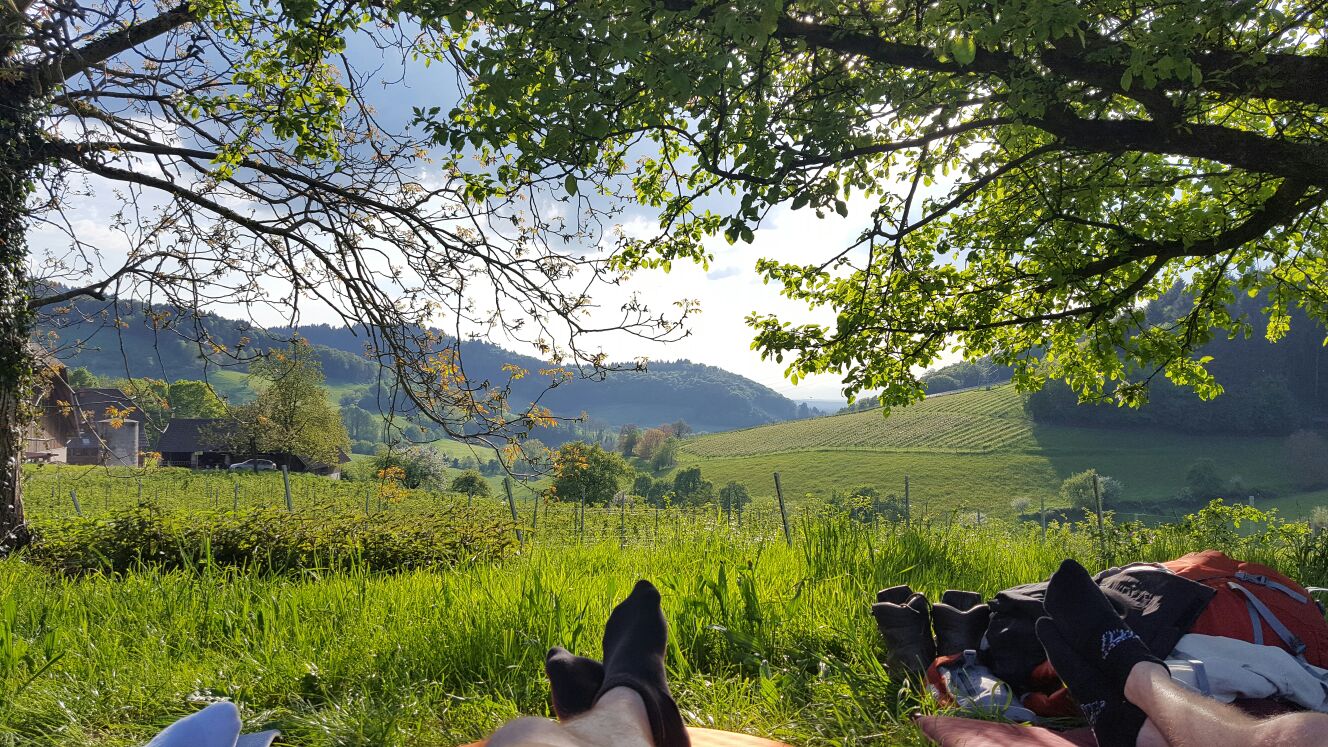 efad22be-7c86-417c-ba25-5f2b4f3c4ad1