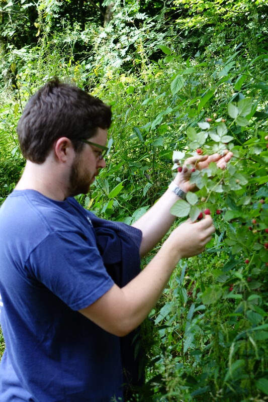 D-2016-08-01-15 17 42