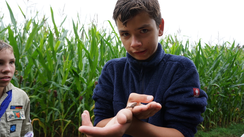 D-2016-08-03-16 19 07