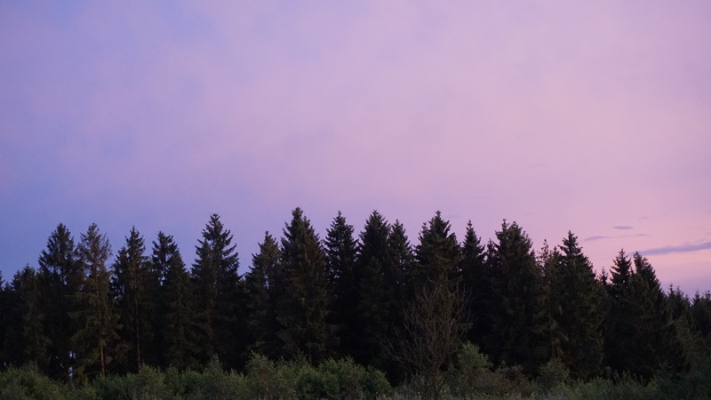 D-2016-08-04-21 08 37