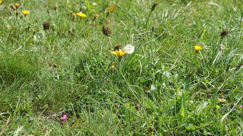 D-2016-08-05-15 44 47