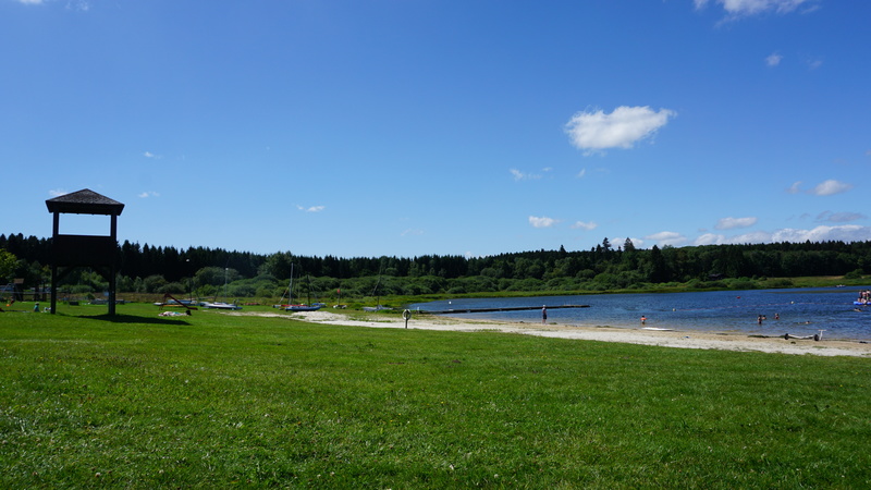 D-2016-08-08-12 45 39