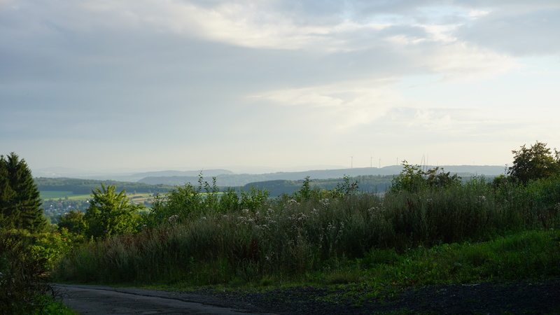 D-2016-08-08-19 53 30