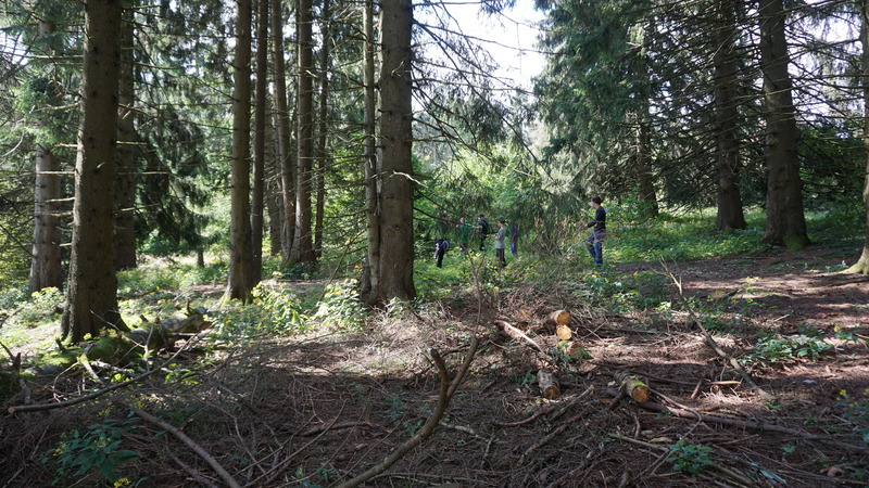 D-2016-08-09-11 20 45