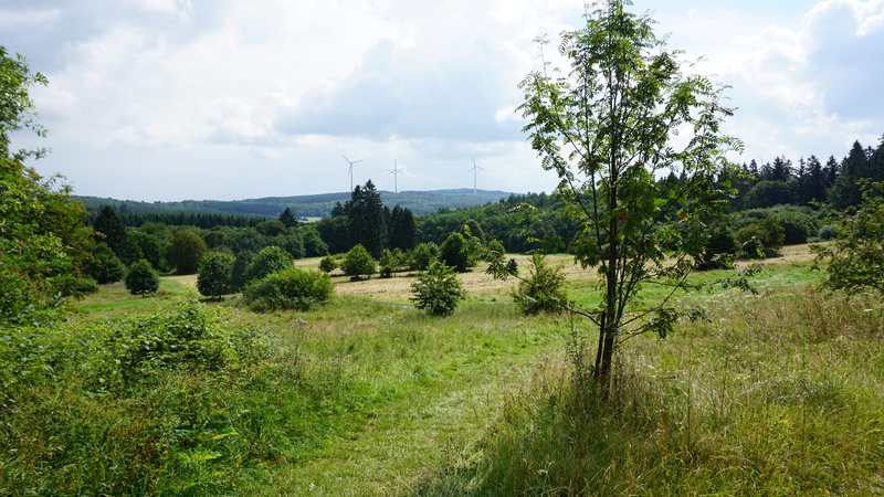 D-2016-08-09-11 23 17