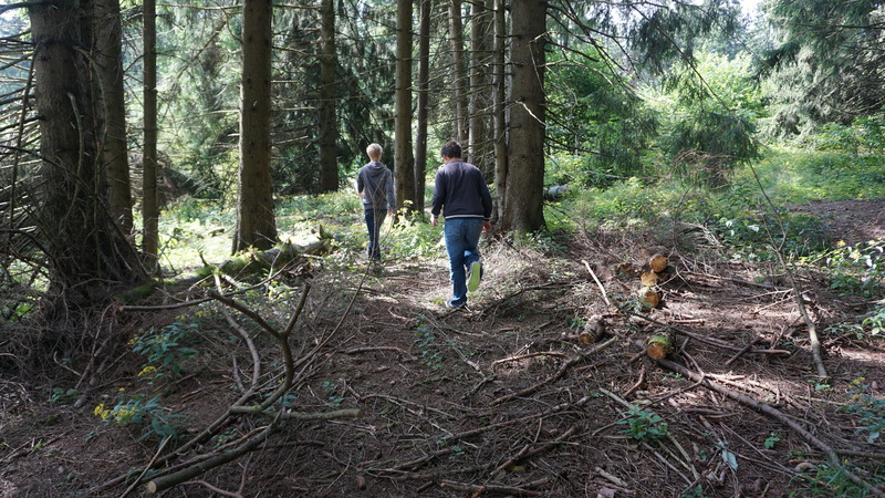 D-2016-08-09-11 25 29