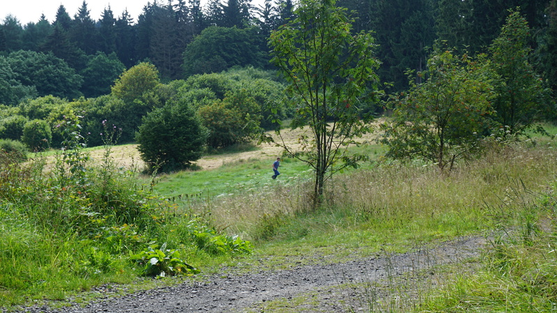 D-2016-08-09-11 28 46