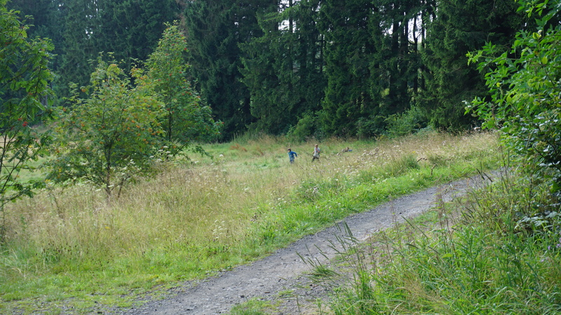 D-2016-08-09-11 29 21