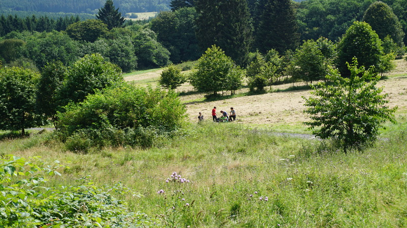 D-2016-08-09-11 39 52