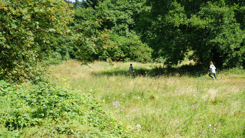 D-2016-08-09-11 40 18