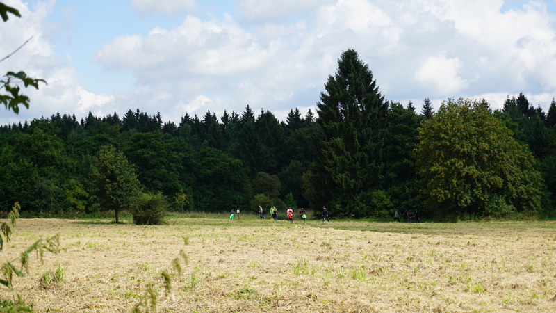 D-2016-08-09-11 55 00