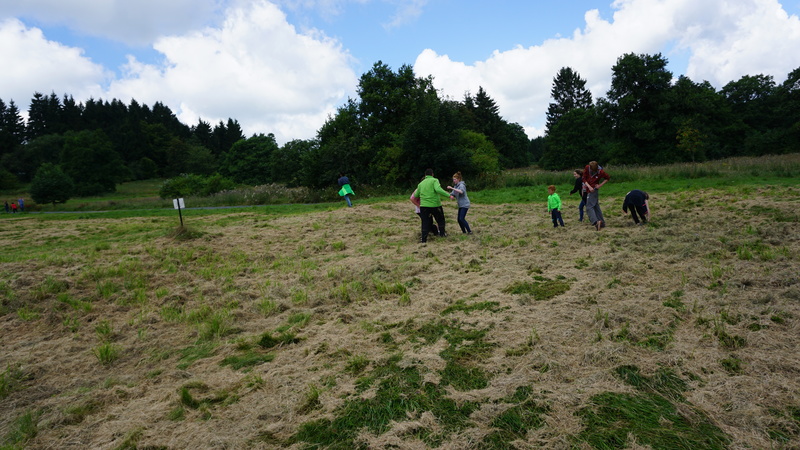 D-2016-08-09-11 56 34