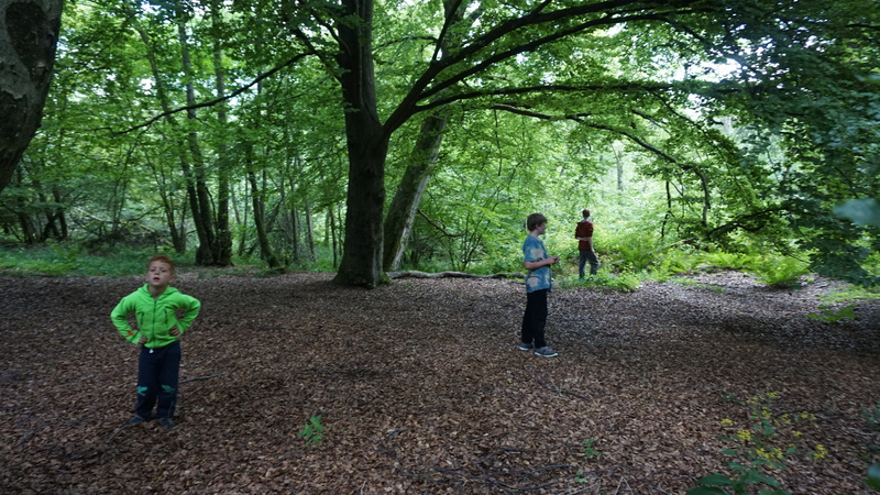 D-2016-08-09-12 00 27