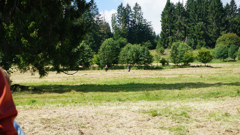 D-2016-08-09-12 05 45